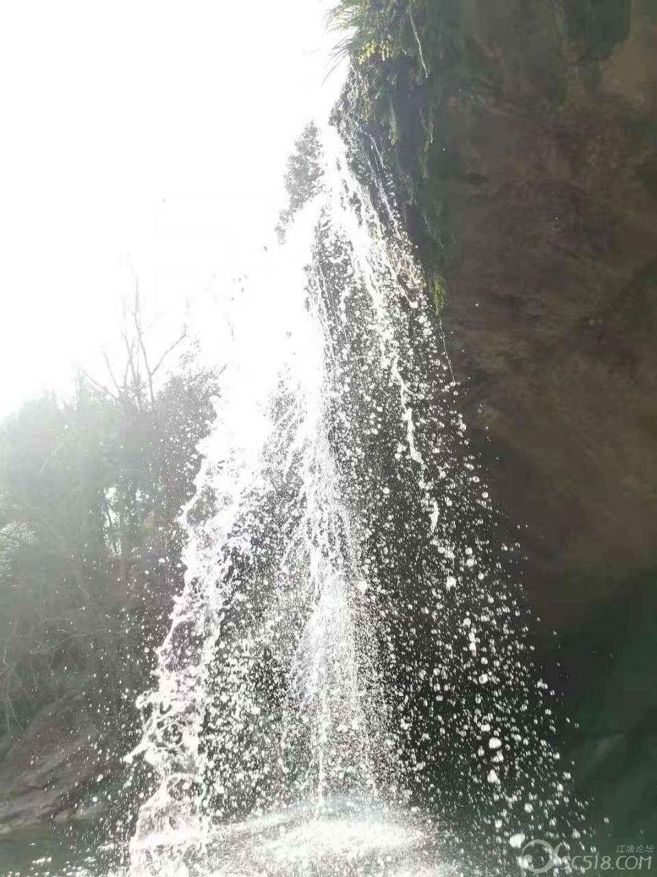小恐龙来找茬