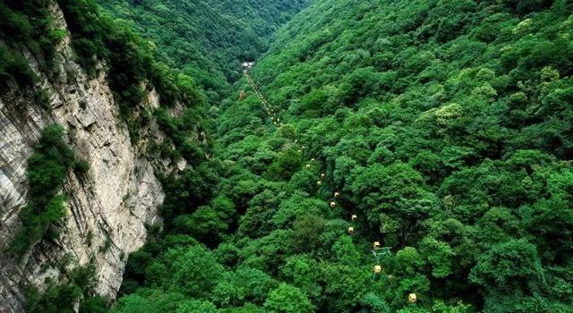 市南曲阜路和肥城路拟提升改造,用于高端餐饮等多业态经营